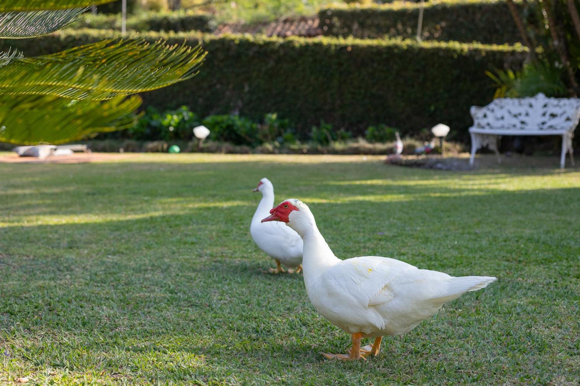 Recanto Dos Vianas เตเรซอโปลิส ภายนอก รูปภาพ